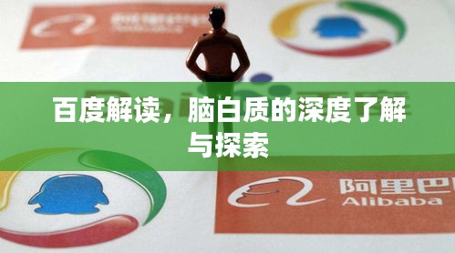 百度解读，脑白质的深度了解与探索