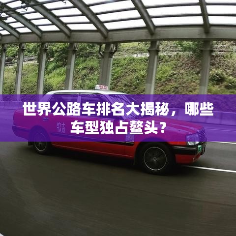 世界公路车排名大揭秘，哪些车型独占鳌头？