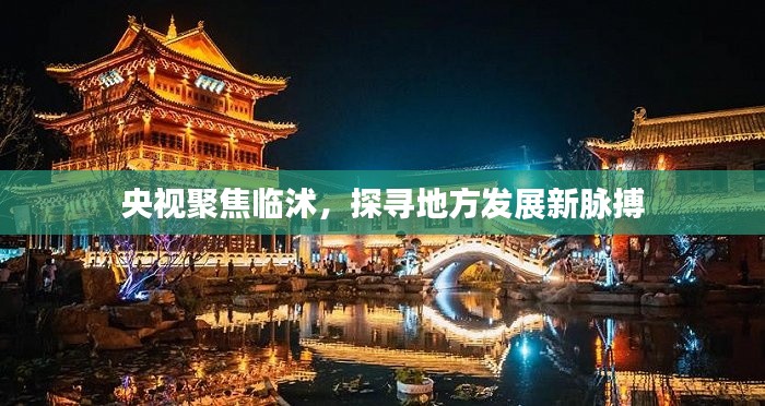 央视聚焦临沭，探寻地方发展新脉搏