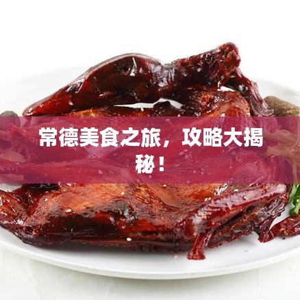关于我们 第12页