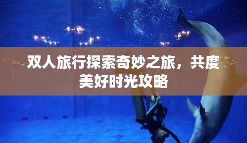 双人旅行探索奇妙之旅，共度美好时光攻略