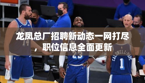 龙凤总厂招聘新动态一网打尽，职位信息全面更新
