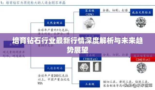 培育钻石行业最新行情深度解析与未来趋势展望