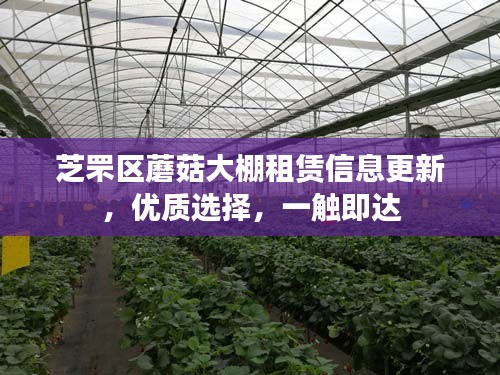 芝罘区蘑菇大棚租赁信息更新，优质选择，一触即达