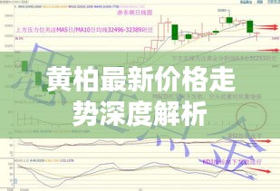 黄柏最新价格走势深度解析