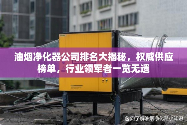 油烟净化器公司排名大揭秘，权威供应榜单，行业领军者一览无遗