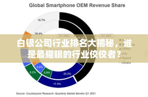 白银公司行业排名大揭秘，谁是最耀眼的行业佼佼者？