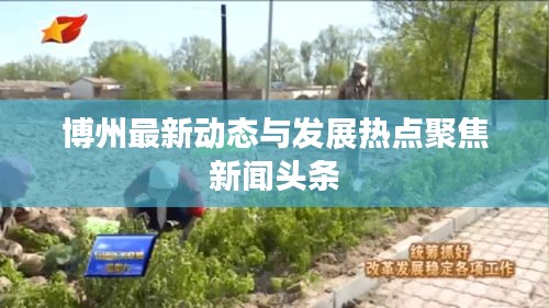 博州最新动态与发展热点聚焦新闻头条