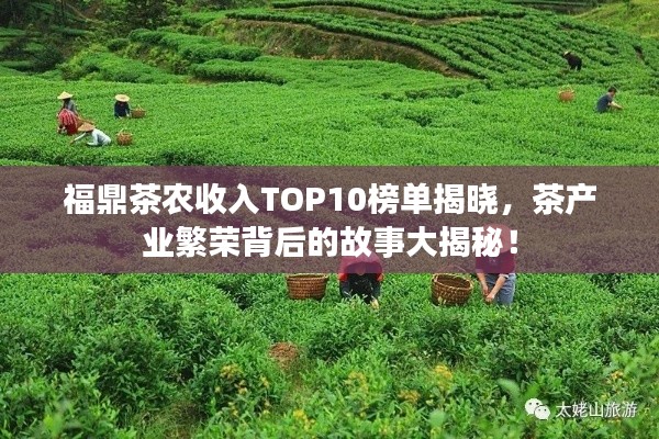 福鼎茶农收入TOP10榜单揭晓，茶产业繁荣背后的故事大揭秘！