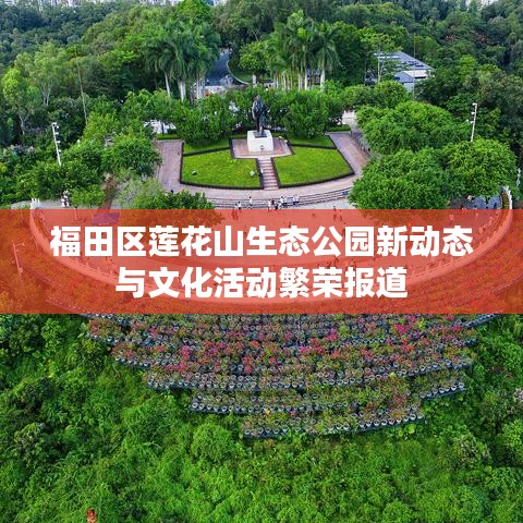 服务方式 第12页