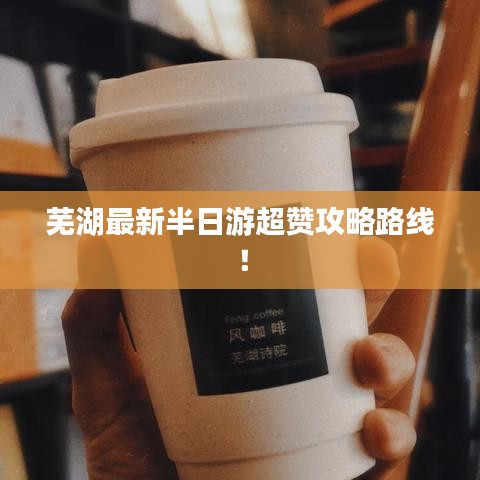芜湖最新半日游超赞攻略路线！
