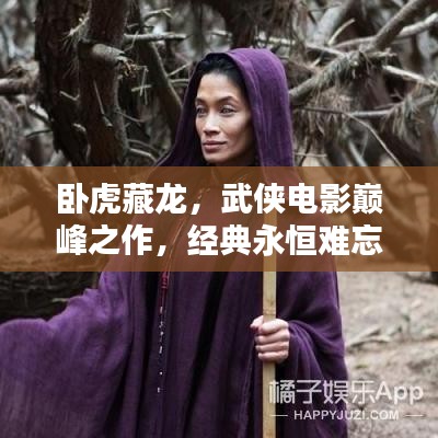卧虎藏龙，武侠电影巅峰之作，经典永恒难忘
