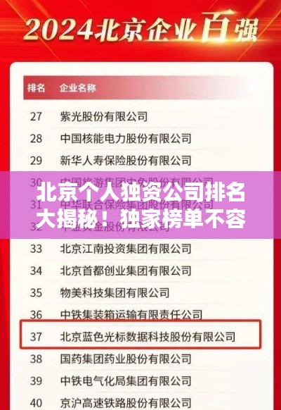 北京个人独资公司排名大揭秘！独家榜单不容错过