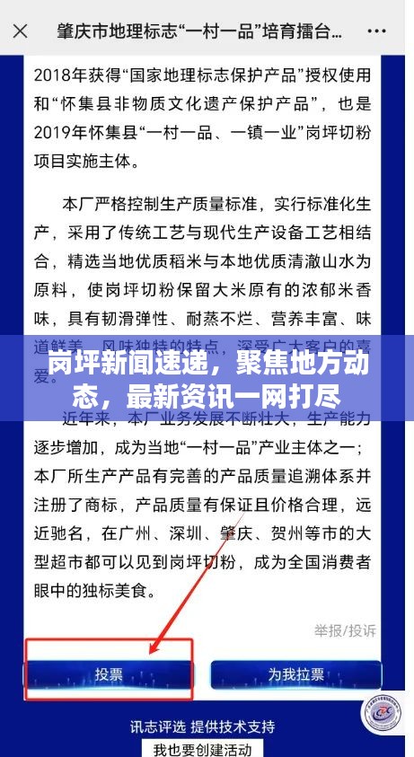岗坪新闻速递，聚焦地方动态，最新资讯一网打尽