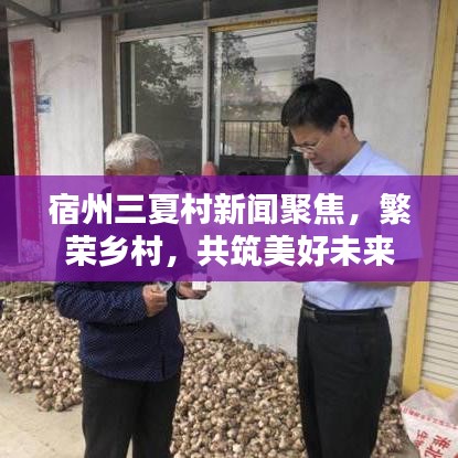 宿州三夏村新闻聚焦，繁荣乡村，共筑美好未来