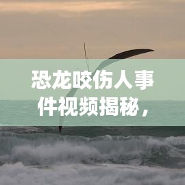 恐龙咬伤人事件视频揭秘，探索史前生物背后的警示与反思