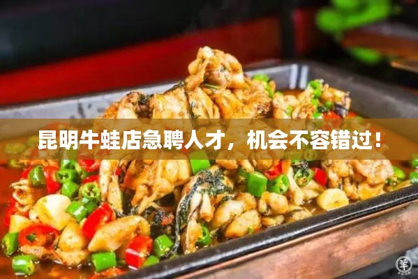 案例见证 第8页