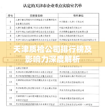 天津质检公司排行榜及影响力深度解析