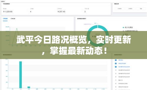 武平今日路况概览，实时更新，掌握最新动态！