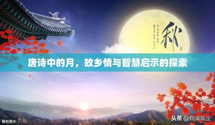 唐诗中的月，故乡情与智慧启示的探索