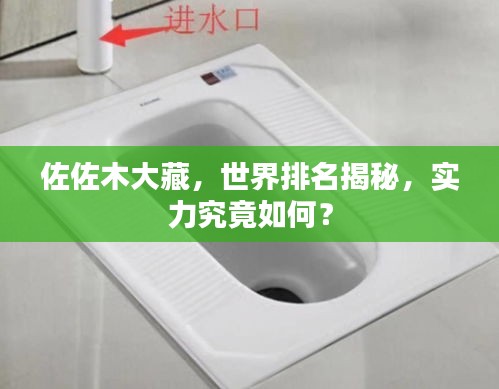 佐佐木大藏，世界排名揭秘，实力究竟如何？