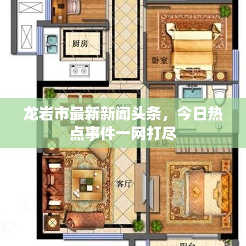 龙岩市最新新闻头条，今日热点事件一网打尽