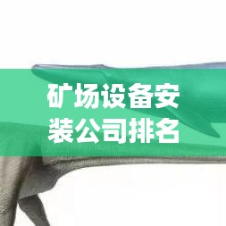 矿场设备安装公司排名揭秘，行业影响力与竞争力分析