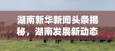 湖南新华新闻头条揭秘，湖南发展新动态引领时代风潮