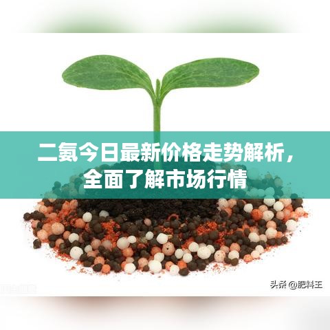 二氨今日最新价格走势解析，全面了解市场行情