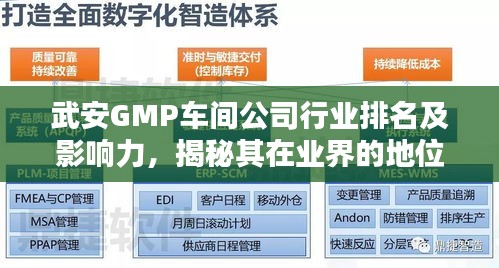 武安GMP车间公司行业排名及影响力，揭秘其在业界的地位与实力