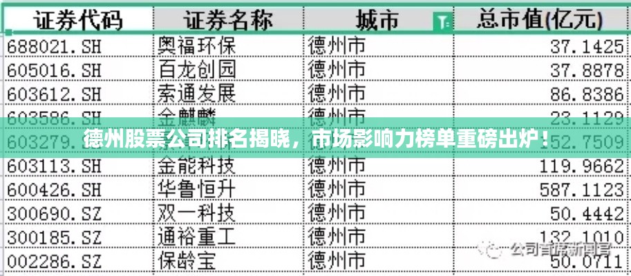 德州股票公司排名揭晓，市场影响力榜单重磅出炉！