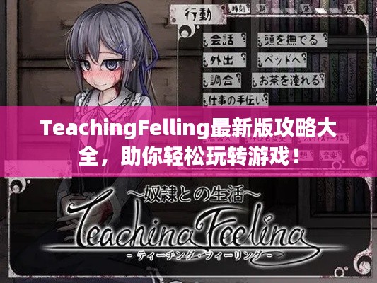 TeachingFelling最新版攻略大全，助你轻松玩转游戏！