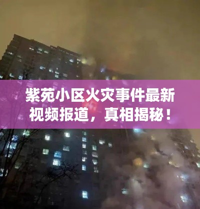 紫苑小区火灾事件最新视频报道，真相揭秘！