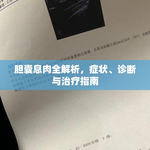 胆囊息肉全解析，症状、诊断与治疗指南