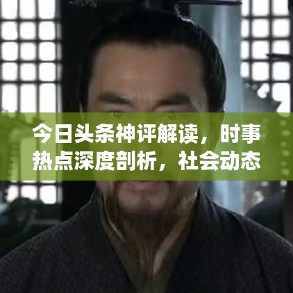 今日头条神评解读，时事热点深度剖析，社会动态洞悉无遗