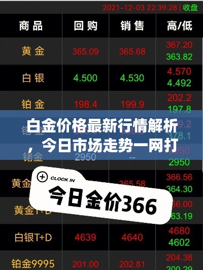 白金价格最新行情解析，今日市场走势一网打尽