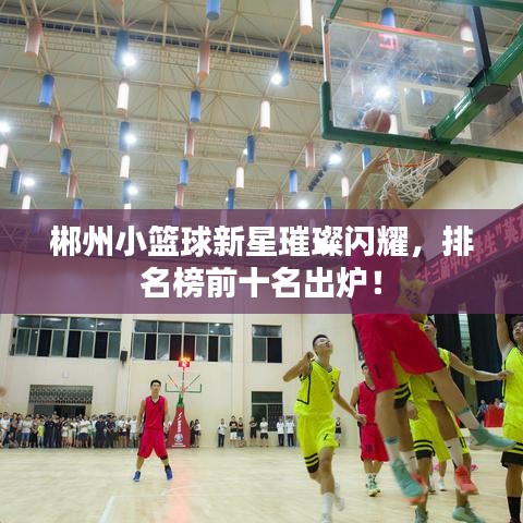 郴州小篮球新星璀璨闪耀，排名榜前十名出炉！