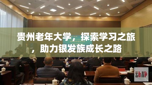 贵州老年大学，探索学习之旅，助力银发族成长之路