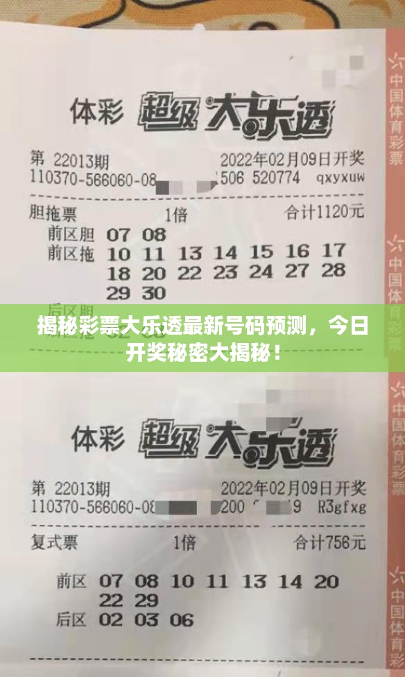 揭秘彩票大乐透最新号码预测，今日开奖秘密大揭秘！