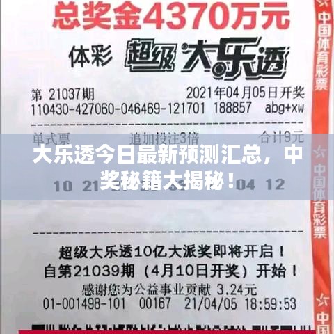 大乐透今日最新预测汇总，中奖秘籍大揭秘！