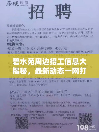 碧水苑周边招工信息大揭秘，最新动态一网打尽