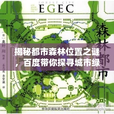 揭秘都市森林位置之谜，百度带你探寻城市绿洲的奥秘
