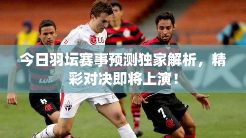 今日羽坛赛事预测独家解析，精彩对决即将上演！