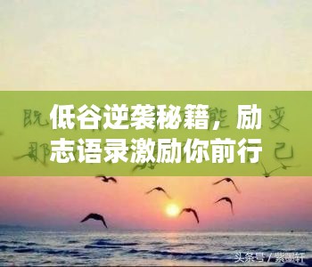 低谷逆袭秘籍，励志语录激励你前行！