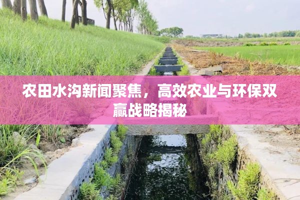 农田水沟新闻聚焦，高效农业与环保双赢战略揭秘