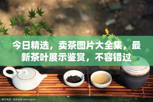 今日精选，卖茶图片大全集，最新茶叶展示鉴赏，不容错过