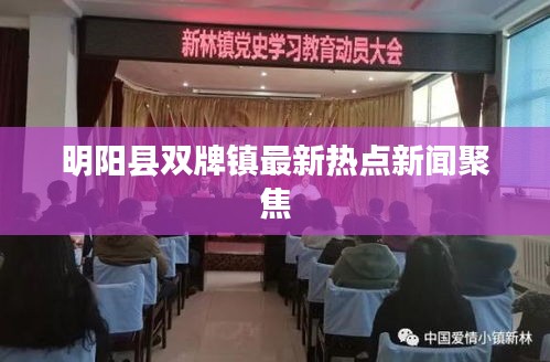 明阳县双牌镇最新热点新闻聚焦