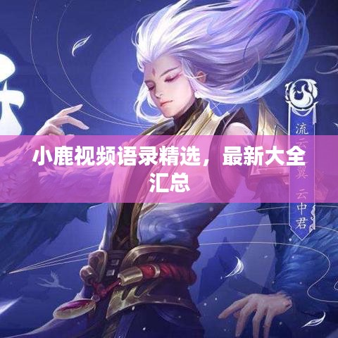 小鹿视频语录精选，最新大全汇总