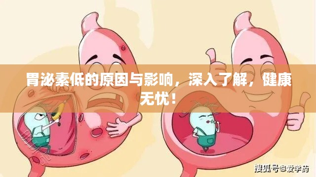 胃泌素低的原因与影响，深入了解，健康无忧！