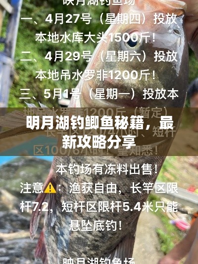 明月湖钓鲫鱼秘籍，最新攻略分享